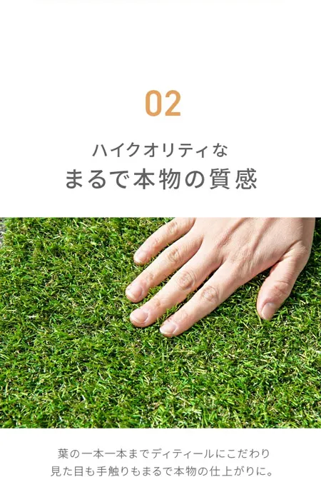 qh009c_sp_08_02.webp