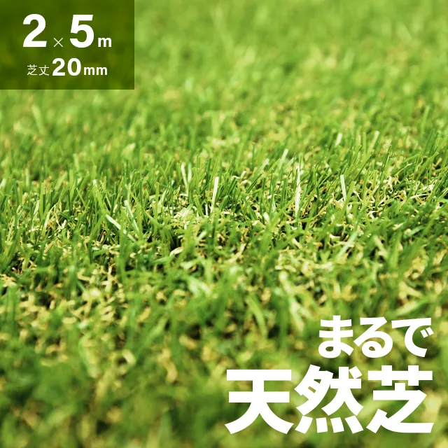 リアル人工芝 芝丈20mm 2×5m ロール