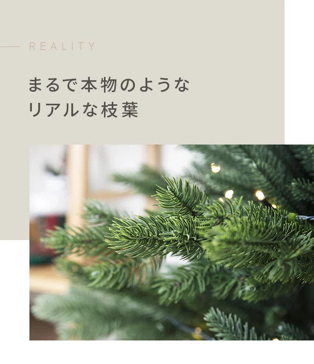 240cmクリスマスツリー(プレミアムパイン ヌード) - 2