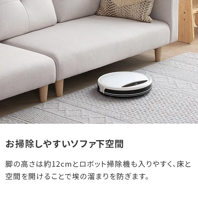 本体幅166cm・傷に強いペット対応生地] ソファ 2人掛け ソファーベッド