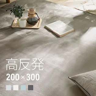 高反発ラグ 200×300cm