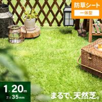リアル人工芝 防草シート一体型タイプ 芝丈35mm 1×20m（自然な見た目追求・U字ピン付）